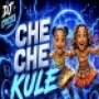 CHE CHE KULE (CIRCUIT HOUSE REMIX) DJ CROSS BBSR
