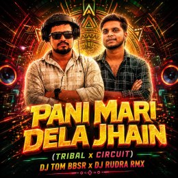 PANI MARI DELA JHAIN (TRIBAL X CIRCUIT) DJ TOM BBSR X DJ RUDRA RMX