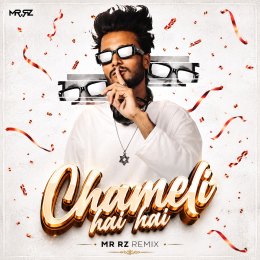 CHAMELI HAI HAI (REMIX) MR RZ REMIX