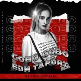 GOBO GOBO OLD SAMBALPURI (EDM X TAPORI) DJ LIKU